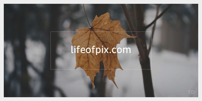 The 22 Best Free Stock Photo Websites - Ericks Webs Design