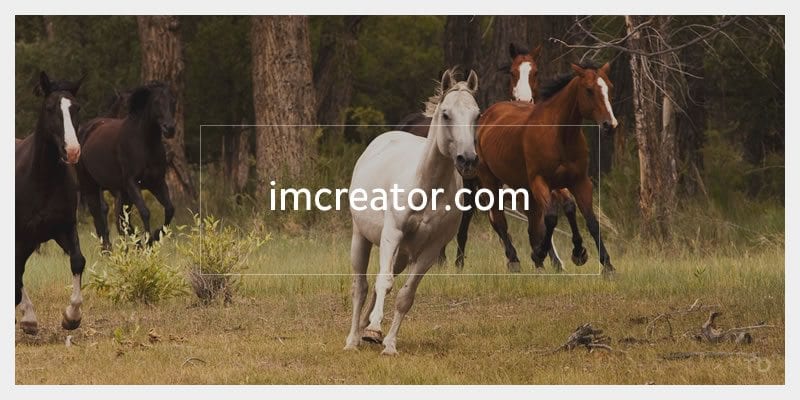 The 22 Best Free Stock Photo Websites - Ericks Webs Design